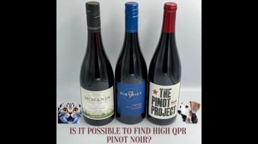 High QPR Pinot Noir #1