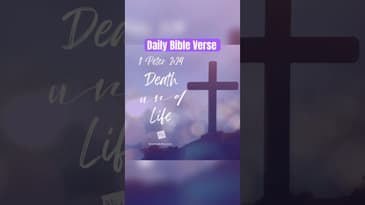 Daily Devotional - 1 Peter 2:24‬ - #motivation #motivational #inspiration #bible