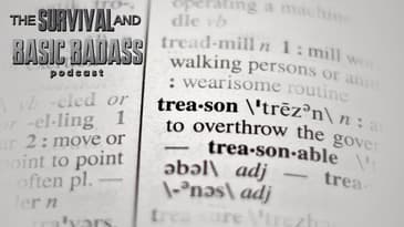 What REALLY Happens When You Commit Treason