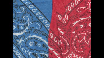 Harlem Rollin 30's Crip Member Asks For Bloods And Crips Unity