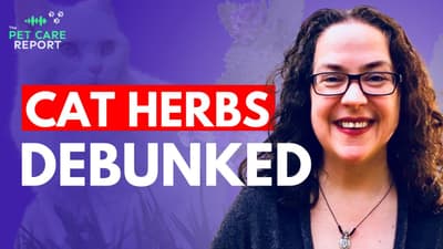 Herbs for Cats: What Actually Works (and What Doesn’t)