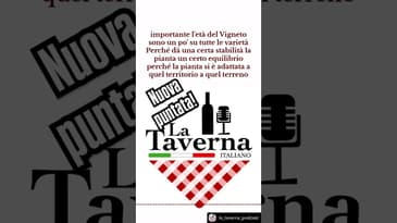 Nuova puntata con Flavio Cabas di’ PETRUCCO ora disponibile!