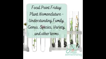Focal Point Friday: Understanding Plant Nomenclature - Family, Genus, Species, Variety, and more.