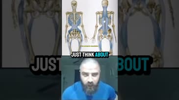 Every muscle in your body is connected through fascia lines #gym #health