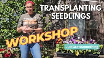 Fundamentals of Transplanting Workshop