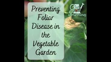 Preventing and Controlling Foliar Disease in the Garden - Ep. 195