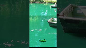 Re-Program Your Subconscious From Anywhere #manifestation #shorts