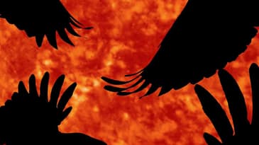 Crrow777 Meets Bruce Sees All - A Conversation on Telescopes and Object Captures