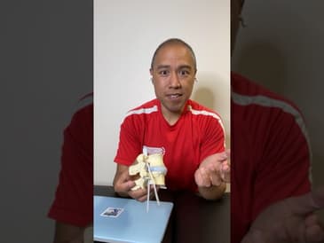 World's Most Realistic Spine Model