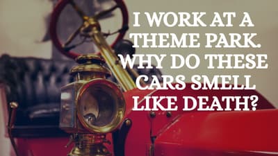 I WORK AT A THEME PARK. I have disturbing stories to tell.