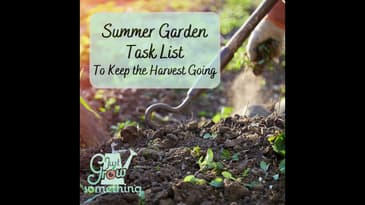 Summer Garden Checklist: Eight Tasks to Keep the Harvest Going - Ep. 154