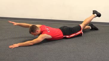 Prone Hand-Leg Opposite Lift