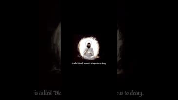 The Voice #shorts - 15/16 #faith #jesus #meaning #motivation #philosophy #poetry #socrates #theoria