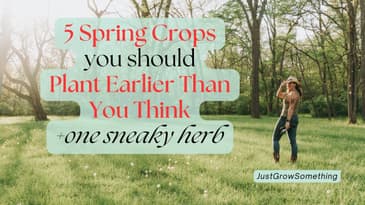 Five Spring Crops to Plant Earlier Than You Think - Ep. 286