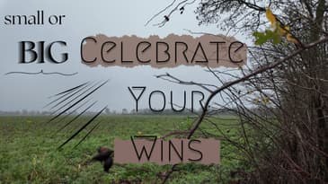 Celebrate Your Wins, Big or Small (Stroll and Talk)