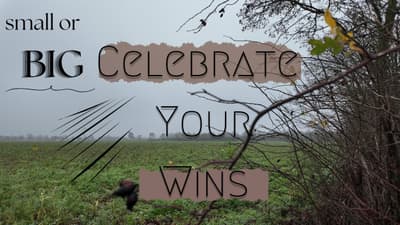 Celebrate Your Wins, Big or Small (Stroll and Talk)