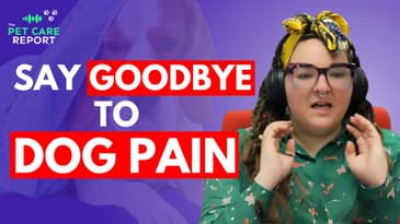 How to Manage Your Dog's Pain Naturally – Tips for Pet Parents