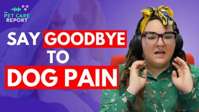 How to Manage Your Dog's Pain Naturally – Tips for Pet Parents