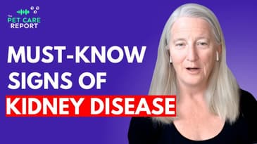 Understanding & Managing Kidney Disease in Dogs