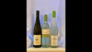 WTF is Grüner Veltliner?