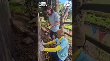 Their Week in South Africa - Globe Aware (CHG EVT Group)