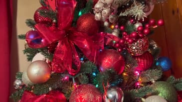 Zhiyun Smooth 5S Combo Gimbal Stabilizer for Smartphone with magnetic Fill Light in action