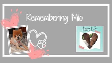 Remembering Milo