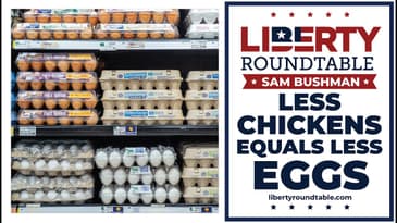 LESS CHICKENS EQUALS LESS EGGS