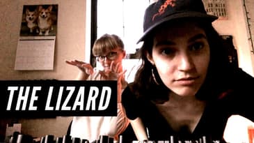 The Lizard