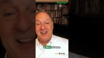 The Secret to Successful Branding #shorts #marketingtips