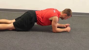 Plank From Knees and Elbows