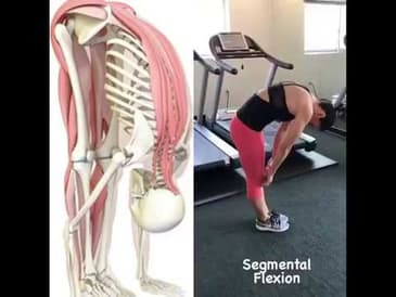 How To Touch Your Toes in 5 MInutes