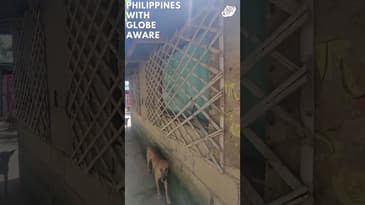 One Of Our Project's In Nueva Ecija! A Globe Aware Summer in the Philippines