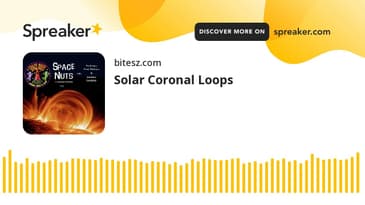 Solar Coronal Loops