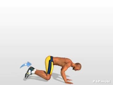 Pectoral Muscles Exercise: Burpees