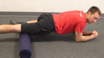 Foam Roller - Quad