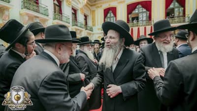 Vienna Highlight Reel 2024