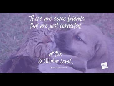 Friends at the SOULular Level