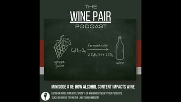 Minisode #18: How Alcohol Content Impacts Wine