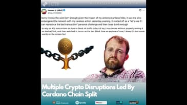 Multiple Crypto Disruptions Led By Cardano Chain Split; Saylor's Strategy To Liquidate Bitcoin?