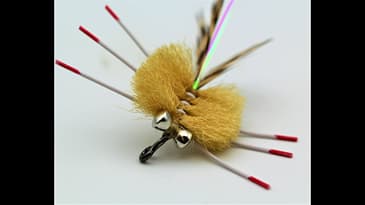 Part 4 of our 4 part saltwater series.  A jiggy Del's Merkin Crab.