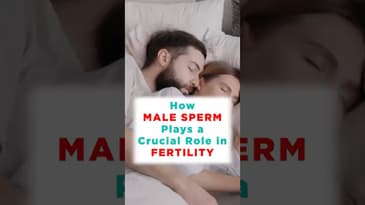 How Male Sperm Quality Impacts Fertility