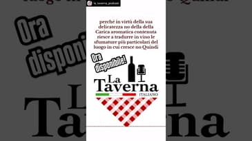 Nuova puntata disponibile!