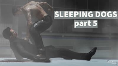 Sleeping Dogs Playthrough - Part 5 (Finale)