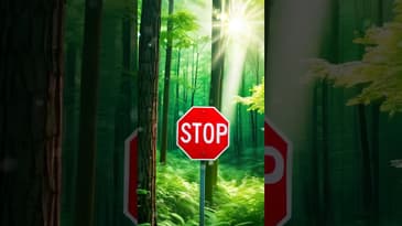 Stop Sinning. Start Living for God.🔥