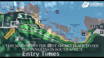 This Map Shows The Best Secret Place To See The Penguins In South Africa!