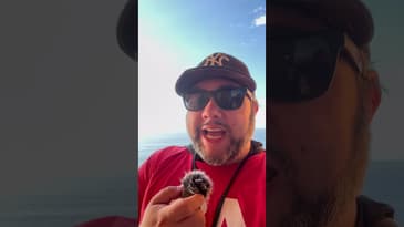 How can you actually leverage AI to improve your podcast? It’s the research phase. #ai #podcasting #