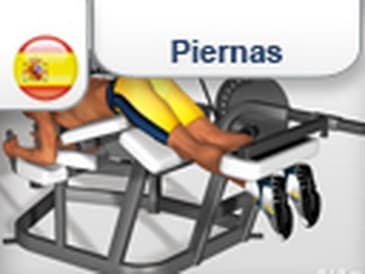 Ejercicios para piernas