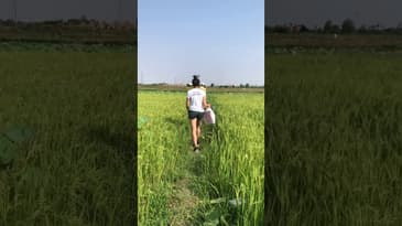 MICRO MOMENTS! Where is this in Asia!?