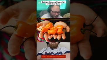🔥 Can You Handle the Heat? Habanero Challenge Ahead! 🌶️